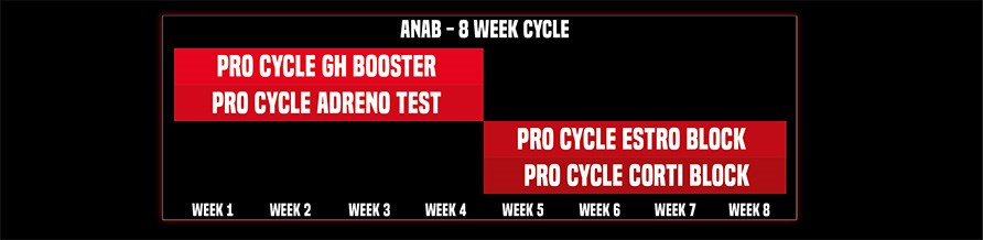 Grafik p ett schema fr tillskotten i RAW Pro Cycle.  