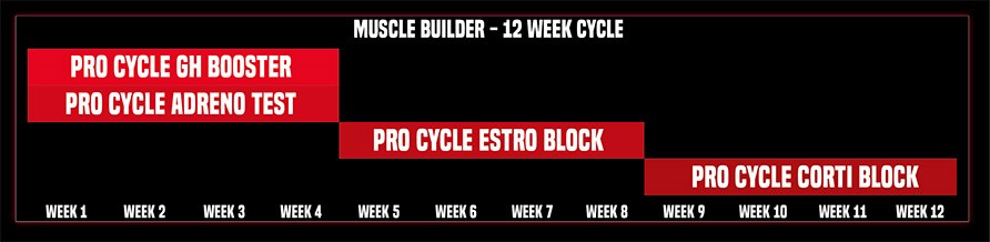 Grafik p ett schema fr tillskotten i RAW Pro Cycle.  